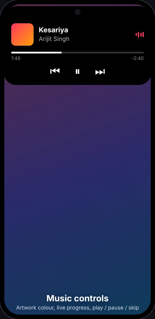 Music controls